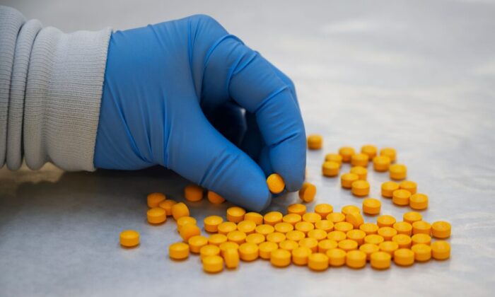 A Drug Enforcement Administration chemist checks confiscated pills containing fentanyl at the DEA Northeast Regional Laboratory in New York, on Oct. 8, 2019. (Don Emmert/AFP via Getty Images)