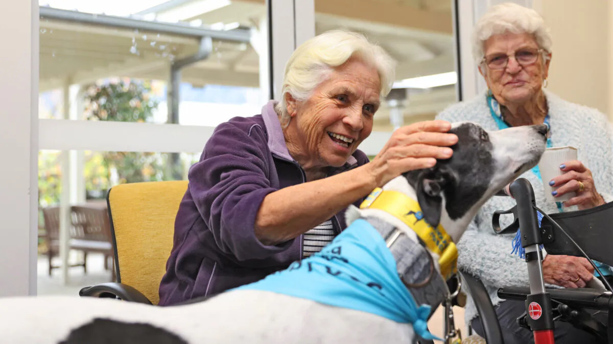 Thelma Connaughton and Delores Thursesson with greyhound Jordy. (HammondCare/Supplied)
