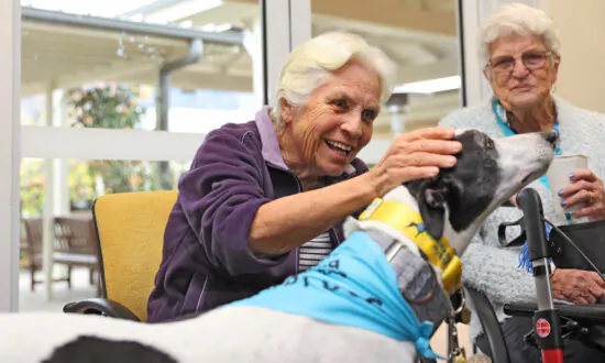Rescued Dogs to Brighten up Australian Aged Care Homes