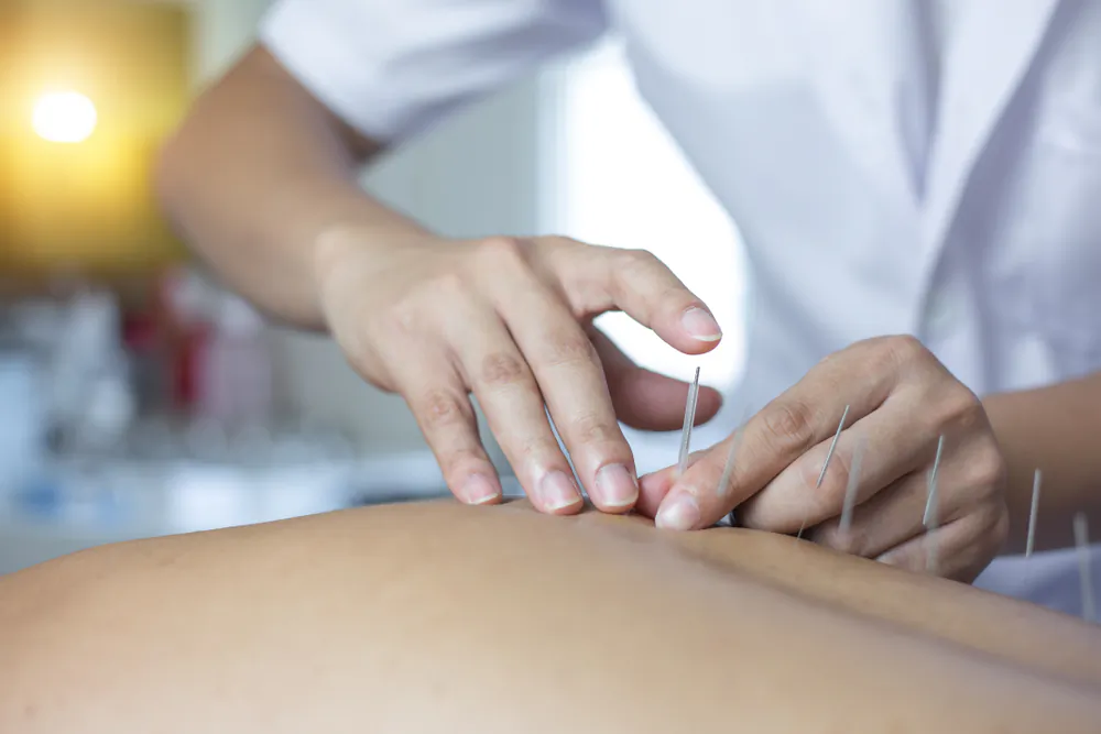 Treatment focuses on regulating blood circulation and Qi and balancing the organ systems to improve pancreatic function and stop fluid depletion resulting from high blood sugar. (ShutterStock)
