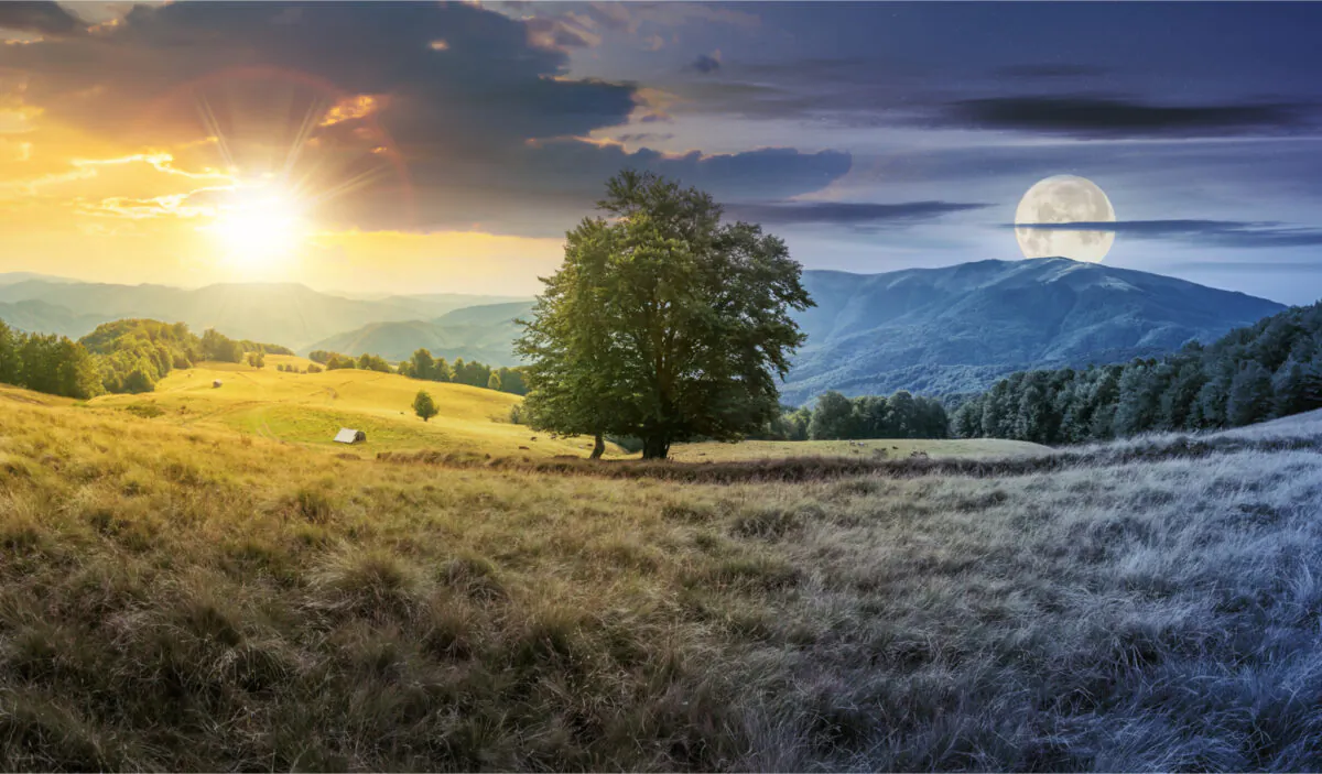 (Mike Pellinni/Shutterstock)