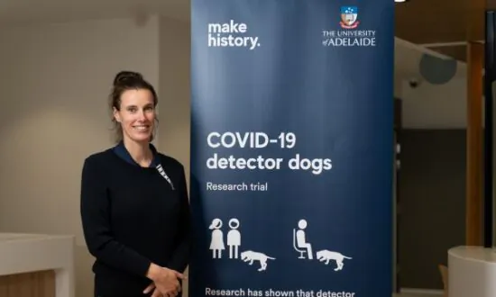 COVID-19 Sniffer Dogs Start Work at South Australian Hospital