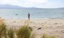 Research Shows Plastic Pollution on Australia’s Beaches Is Declining
