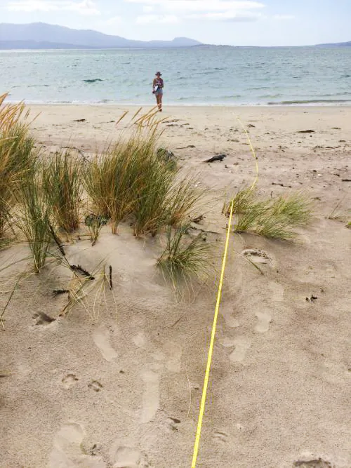 CSIRO researchers conducted 563 new coastal surveys, and interviews with waste managers across 32 local governments around Australia. (Image supplied by CSIRO)