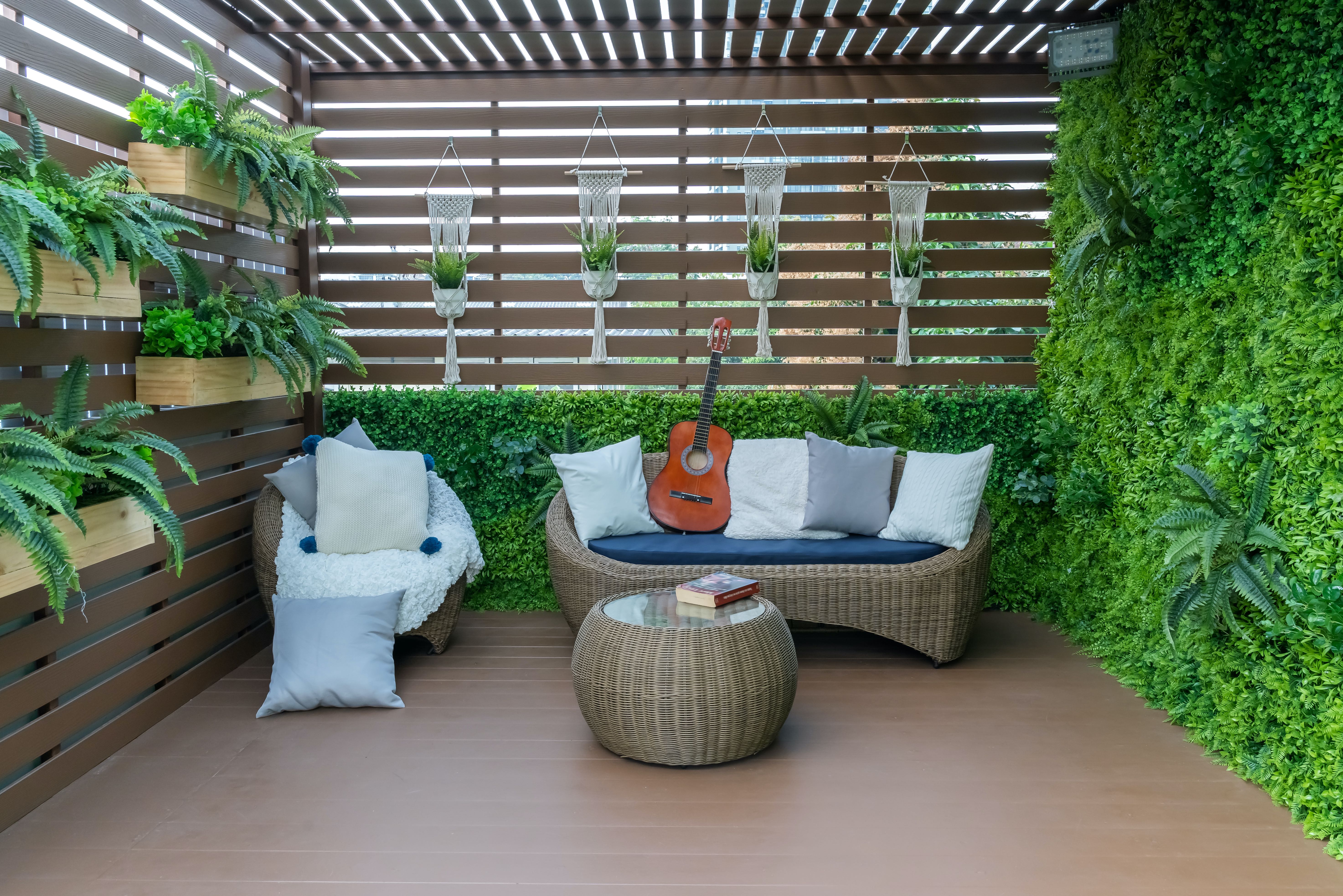 living wall in an outdoor space