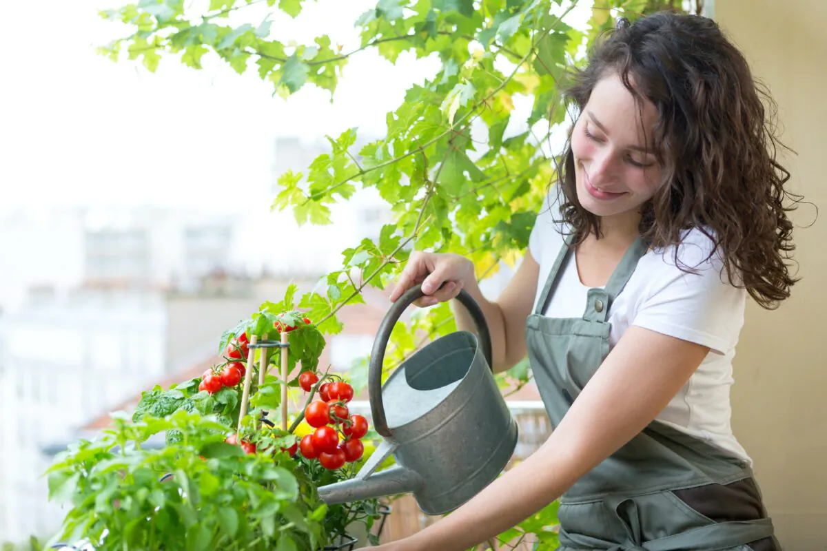 (Production Perig/Shutterstock)