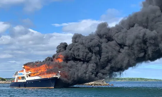 3 People, 2 Dogs Jump Overboard as Yacht Burns and Sinks