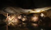 Exhibit of Famed Prehistoric Cave Opens in Marseille