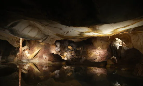 Exhibit of Famed Prehistoric Cave Opens in Marseille