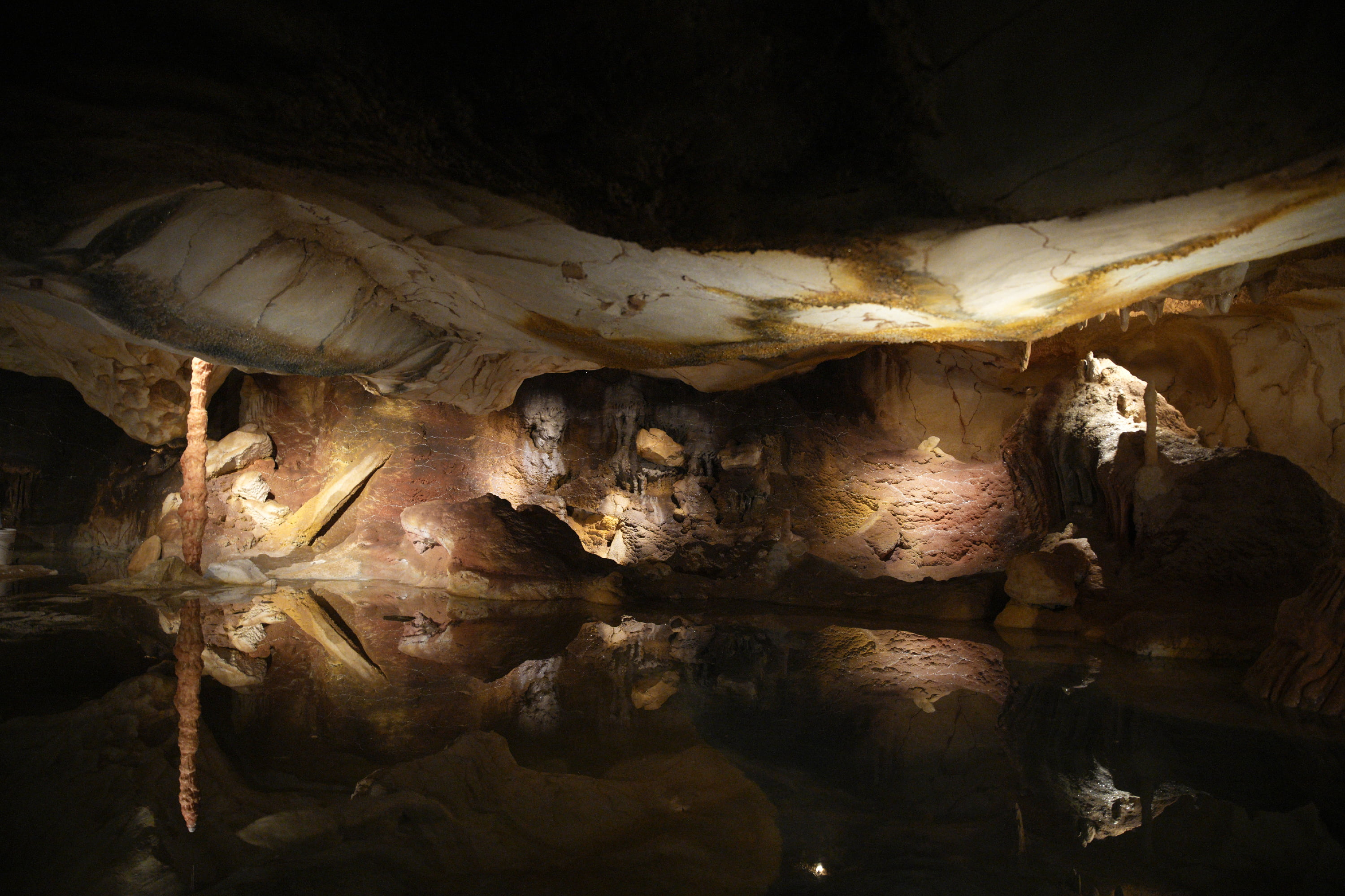 Exhibit of Famed Prehistoric Cave Opens in Marseille - Vimarsana News