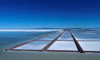 Austin-Based Startup EnergyX Out of Bolivian Lithium Race Over Technicality