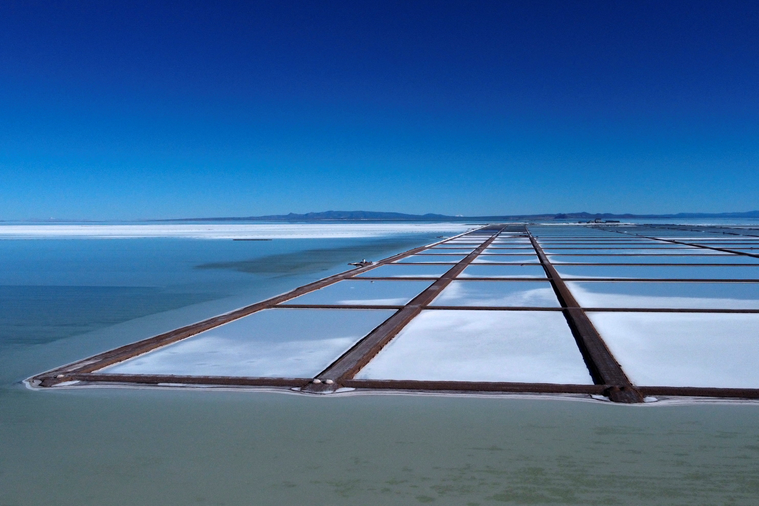 Austin-Based Startup EnergyX Out of Bolivian Lithium Race Over Technicality - Vimarsana News