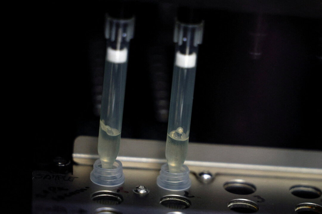 Two samples of suspected cases of monkeypox go through a process of nucleic acid extraction as they get tested at a microbiology lab at La Paz Hospital in Madrid on June 1, 2022. (Susana Vera/Reuters)