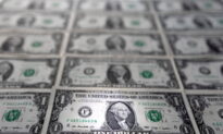 Dollar Struggles as Big Rate Hike Bets Cool