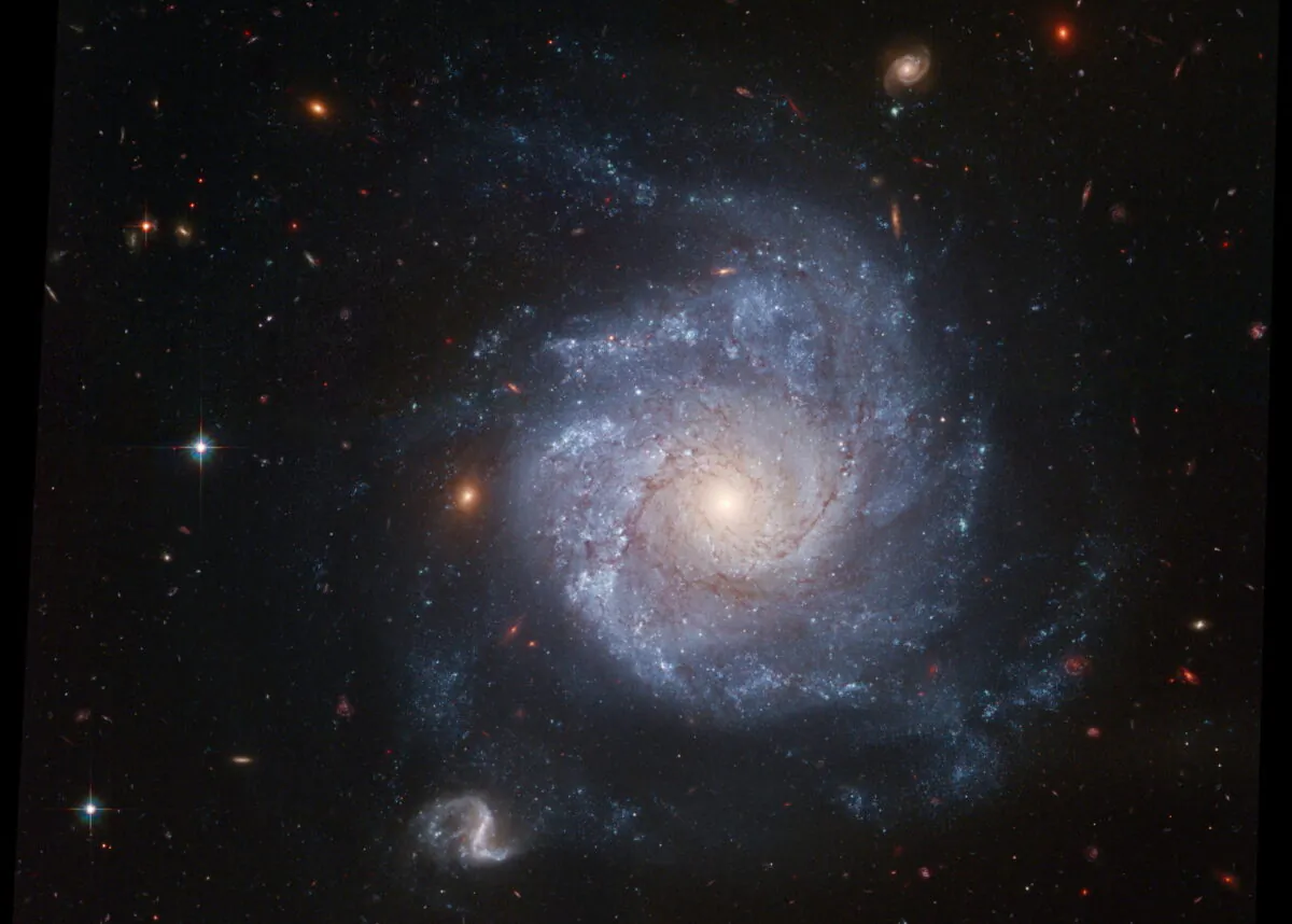 A 2005 image of the spiral galaxy NGC 1309, the location of a star explosion—a supernova - that did not result in stellar death. (NASA, ESA, The Hubble Heritage Team (STSCI/AURA), and A. Riess (JHU/STSCI)/Handout via Reuters)