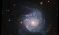 Meet the ‘Zombie Star’ That Survived a Supernova Blast