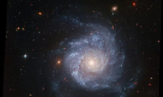 Meet the ‘Zombie Star’ That Survived a Supernova Blast
