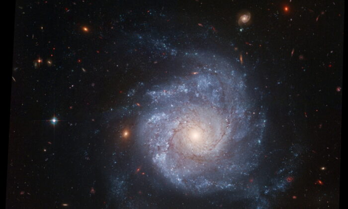 A 2005 image of the spiral galaxy NGC 1309, the location of a star explosion—a supernova - that did not result in stellar death. (NASA, ESA, The Hubble Heritage Team (STSCI/AURA), and A. Riess (JHU/STSCI)/Handout via Reuters)