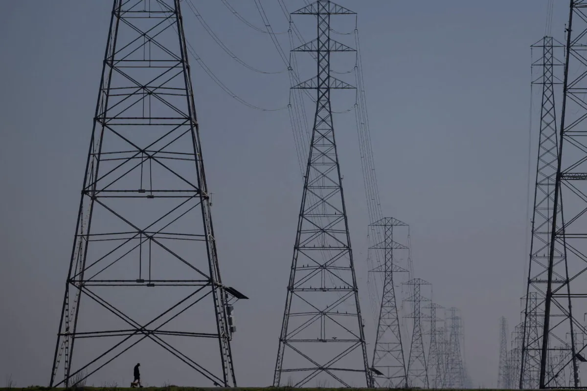 Power grid towers are seen at Bair Island State Marine Park in Redwood City, Calif., on Jan. 26, 2022. (Carlos Barria/Reuters)
