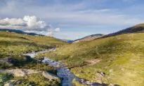 Australia’s Highest Suspension Bridge Opens, Expected to Attract 50,000 Visitors per Year