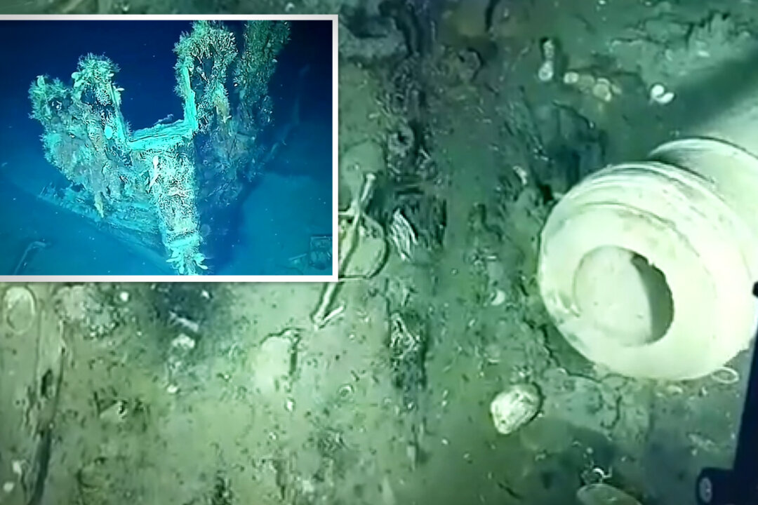 Ocean Vehicle Finds 200-Year-Old Shipwrecks, Gold Coins, Cannons 900m Under Caribbean; Could Be Worth Billions