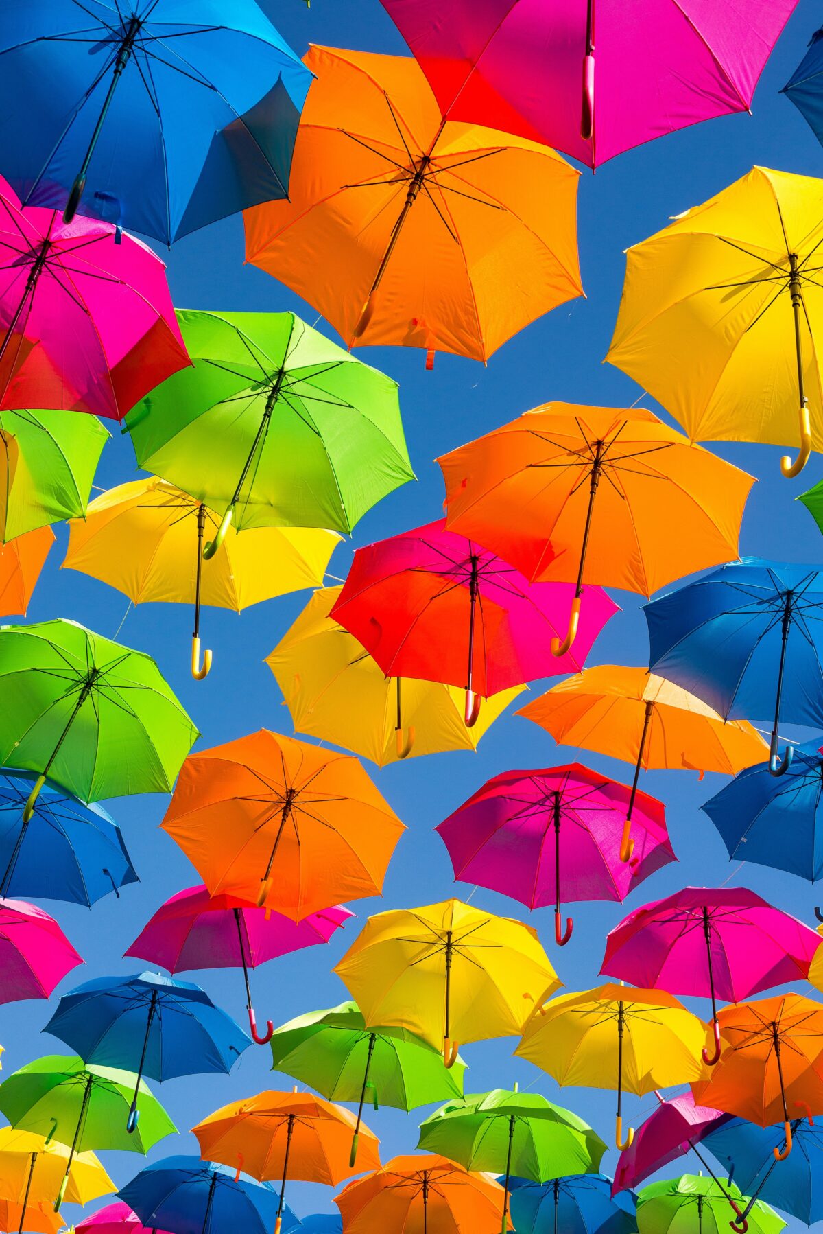 Best Inexpensive Umbrellas