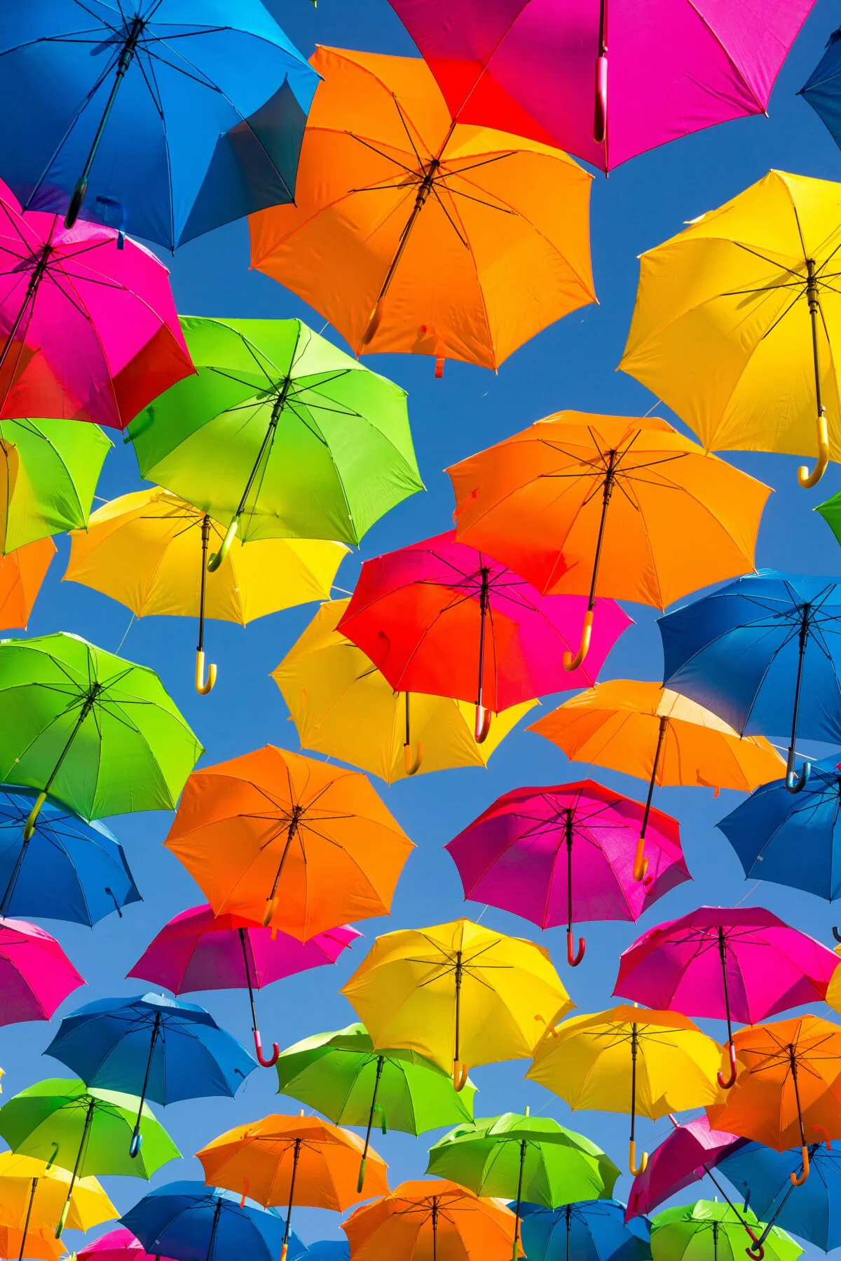 Umbrellas in downtown pensacola, U.S. (guy stevens/Unsplash)