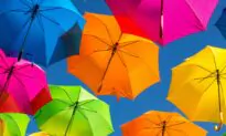 Under the Canopy: Celebrating National Umbrella Day