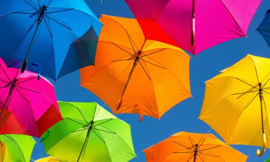Under the Canopy: Celebrating National Umbrella Day