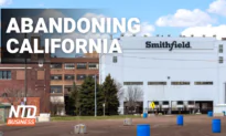 Largest US Pork Processor Leaving Calif.; Bitcoin Falls, Crypto Mkt Value Under $1T | NTD Business