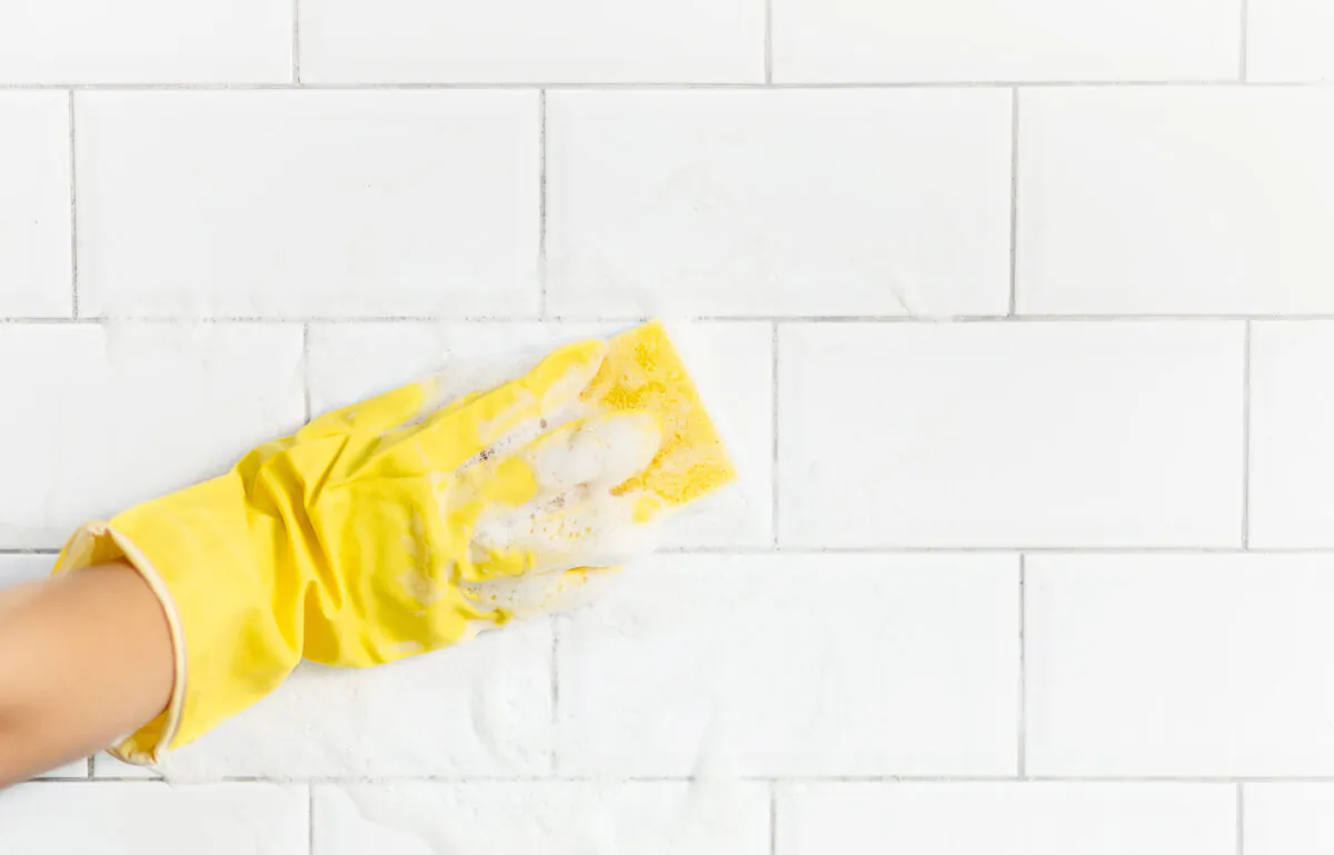 (Alina Bitta/Shutterstock)