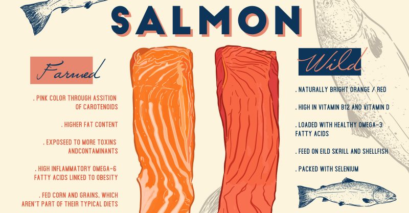 Most Toxic Food in the World? Farmed Salmon. - Vimarsana News