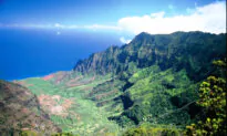 Star California Bakery Chef, 26, Dies in Freak Hiking Accident in Hawaii