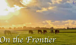 Nostalgic Pipa Music: Story About the Beauty Who Brought Peace to China | Musical Moments