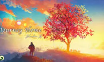 Warm, Comforting Music for Relaxing | Musical Moments