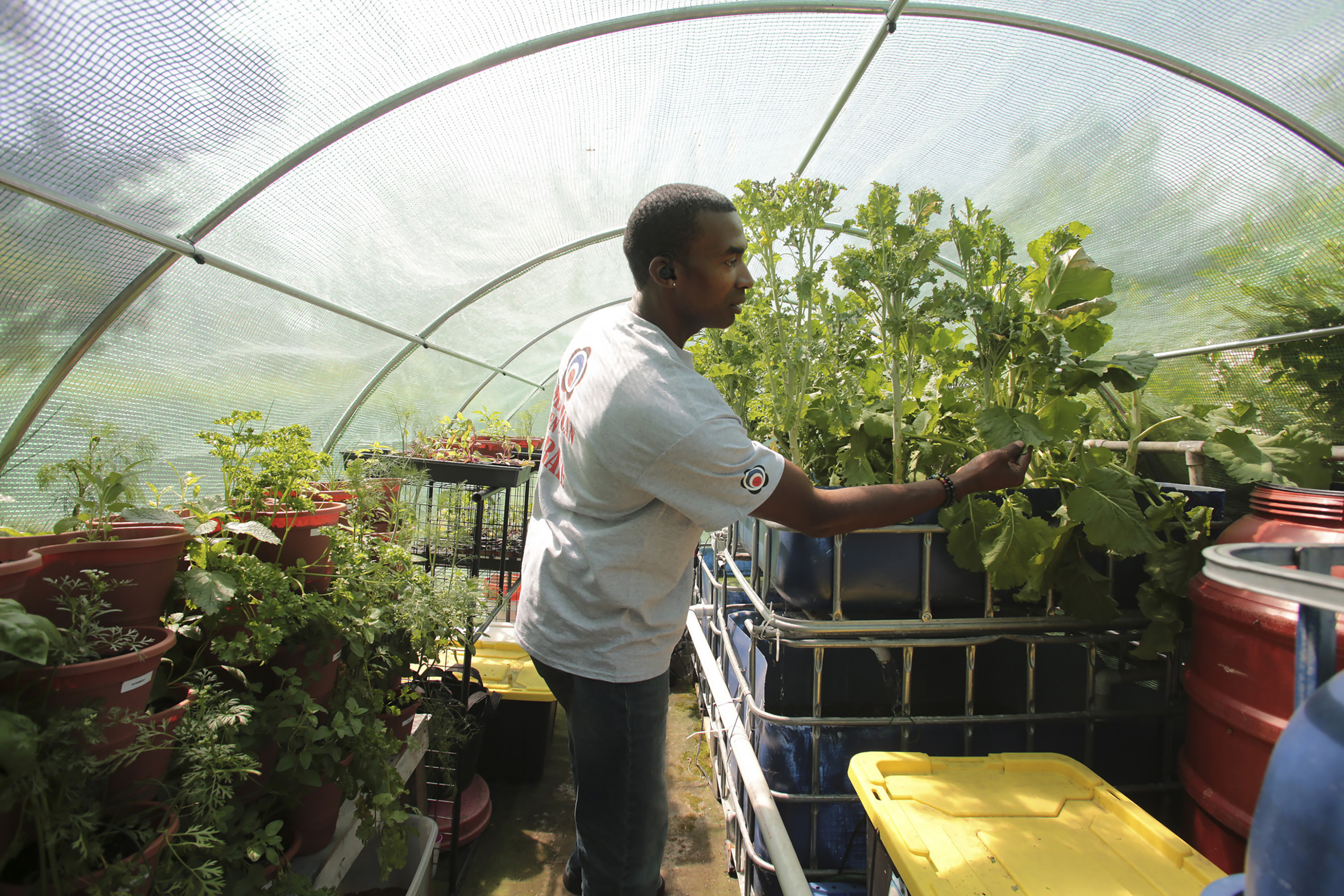 ATHOME-BACKYARD-FARMER-2-HC