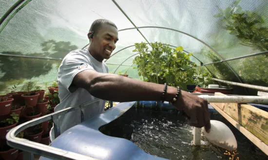 Backyard Farmer Raises Rabbits, Chickens, Tilapia, and Fresh Vegetables at Home. He Wants You to Do It, Too.