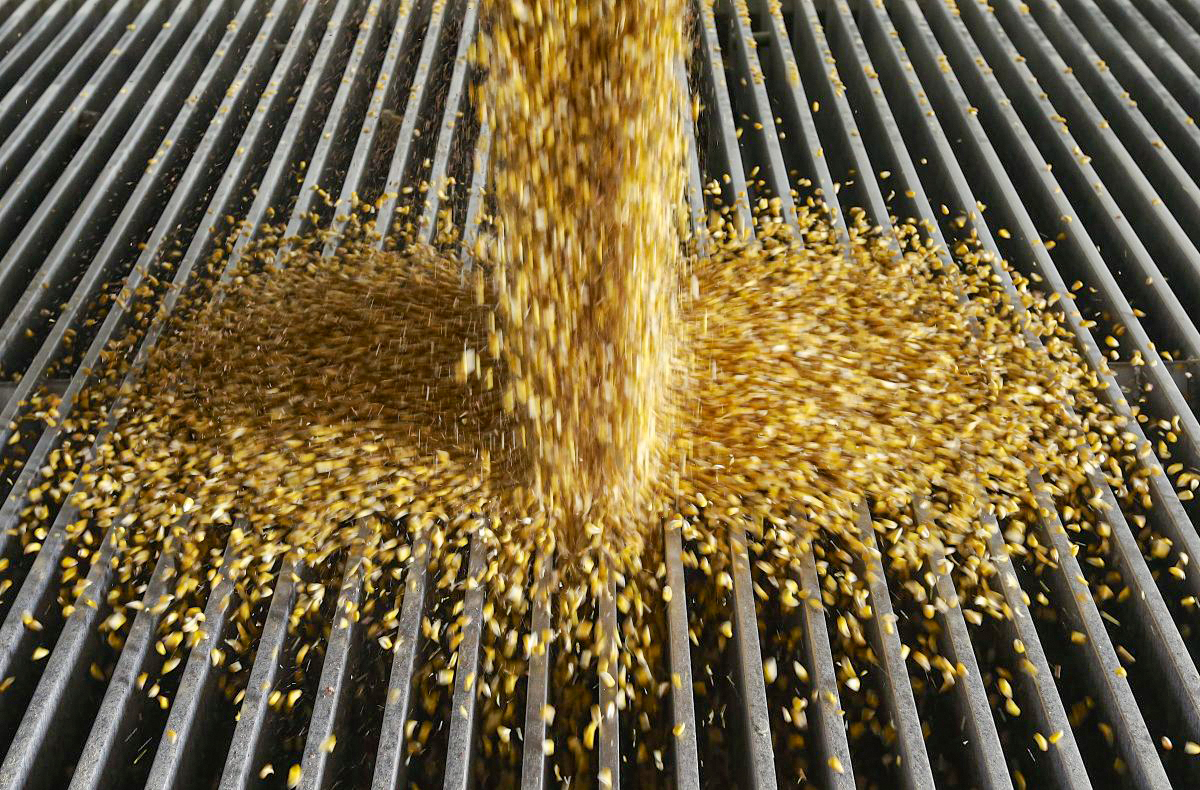 Biden's Mandates for Increased Production of Ethanol Are Wrong-Headed - Vimarsana News