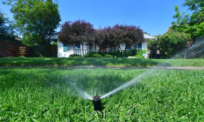 An automated sprinkler waters grass in front of homes in Alhambra, Calif., on April 27, 2022. (Frederic  J. Brown/AFP via Getty Images)