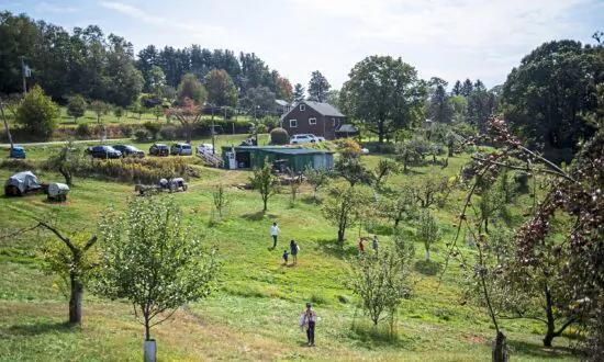 Explore Pennsylvania’s Culinary History via 4 Themed Trails
