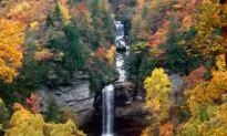 5 South Carolina Waterfalls With Spectacular Views and How to Find Them