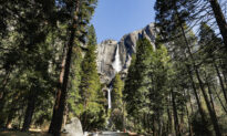 Yosemite National Park Reinstates Mask Mandate As Multiple Institutions Bring Back Face Coverings