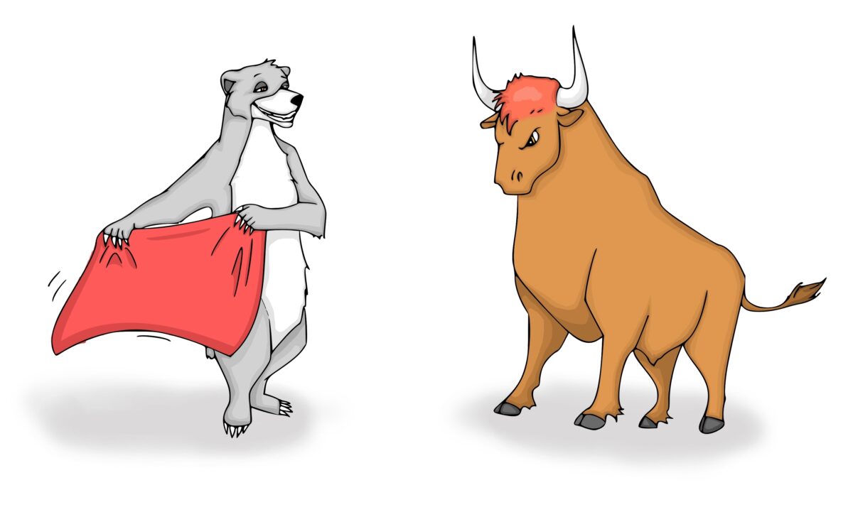 The concept between a bull market and a bear market. In the past months, the stock market has kept on declining which is a bear market. (Li Bro/ShutterStock)
