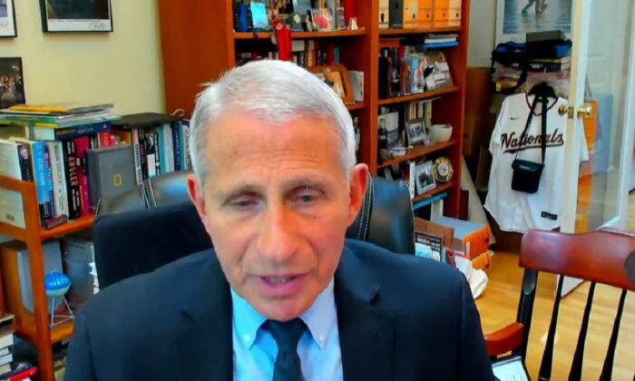 In this image from video, Dr. Anthony Fauci testifies to a Senate panel via remotelink on June 16, 2022. (The Epoch Times via the Senate Health, Education, Labor, and Pensions Committee)