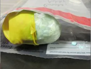 Border Officers Arrest Multiple People Smuggling Fentanyl ‘Within Their Bodies’