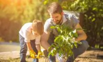 Men, Work, and Family