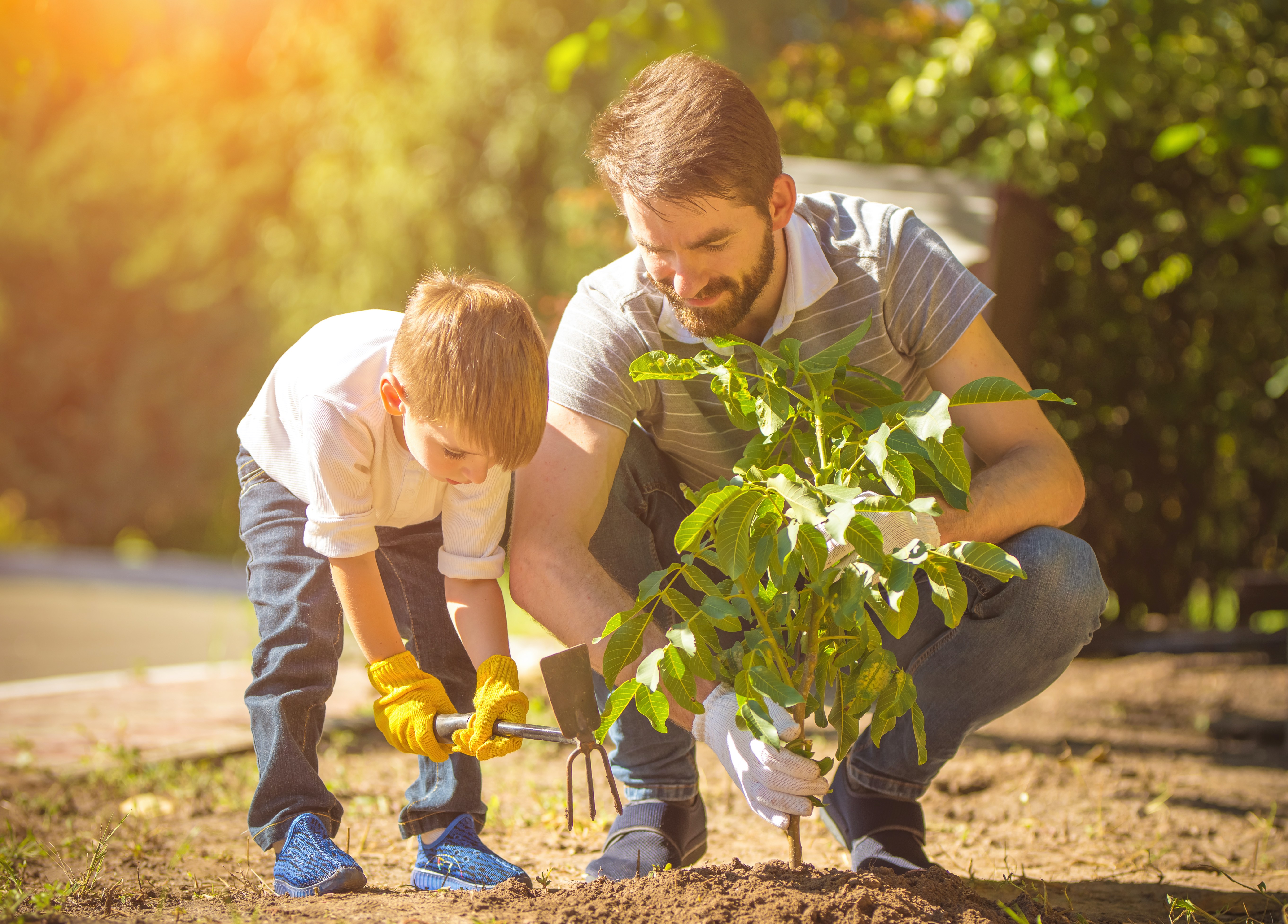 Вся семья работает в школе. Семья в саду. Дети и природа. Дети сажают деревья. Семья сажает дерево.