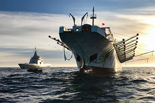 Illegal fishing by the Chinese Communist Party in distant oceans is plundering global fisheries resources and destroying the traditional livelihoods of many countries. The picture shows a Chinese fishing vessel operating illegally in Argentina's exclusive economic zone on May 4, 2020. (Handout/Argentina's Navy Press Office/AFP/Getty Images)
