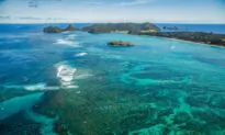 Soft Corals Show Greater Resilience to Bleaching During Marine Heatwaves