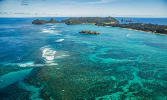 Soft Corals Show Greater Resilience to Bleaching During Marine Heatwaves